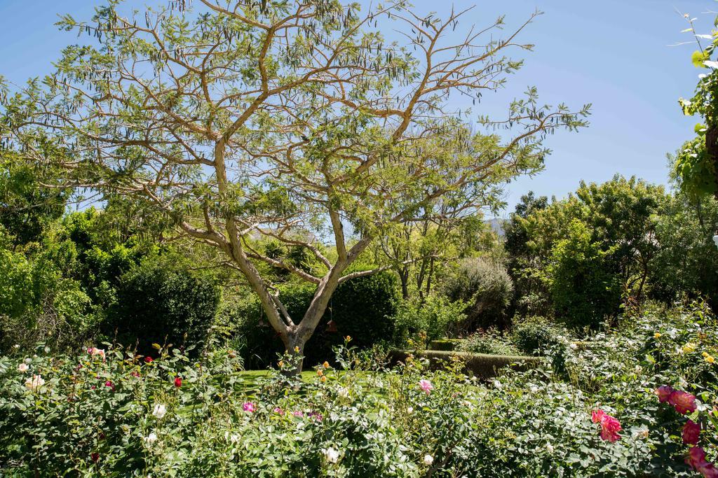 7 Church Street Guest House Montagu Luaran gambar